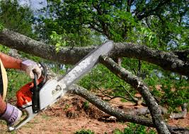 Lawn Irrigation Installation and Maintenance in Quitman, TX